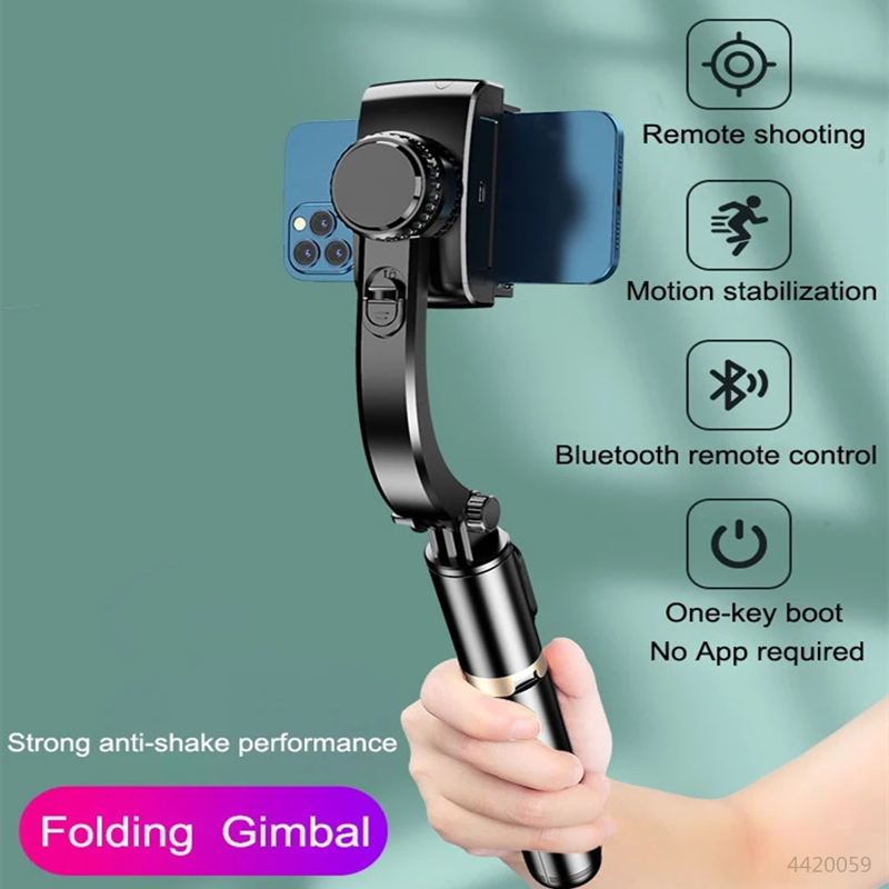 Roreta 2023 NUOVO Stabilizzato - Drone Gimbal For Gopro recensione e prezzo